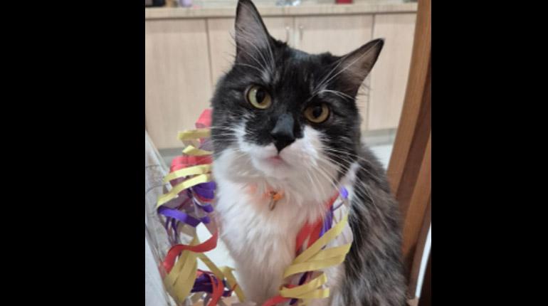 Felicidades pequeña, nos llenas cada día de alegría con tus travesuras.